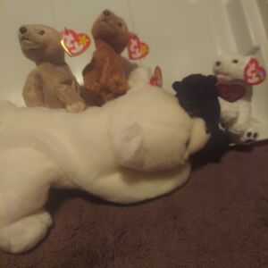 Beanie Bear Collection, Lot Of 5